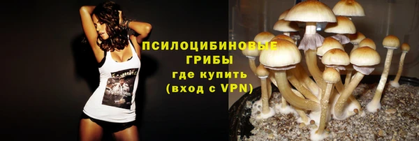 мдпв Семёнов