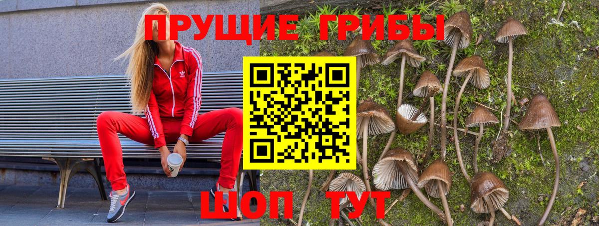 Псилоцибиновые грибы мицелий  Вход с VPN  Псилоцибиновые грибы Psilocybe  Нягань 