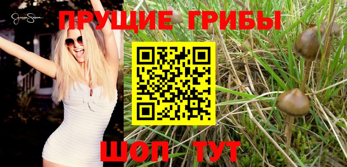 Галлюциногенные грибы GOLDEN TEACHER Нягань