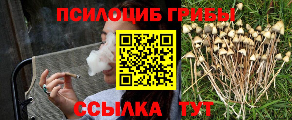 Псилоцибиновые грибы Cubensis  Нягань 