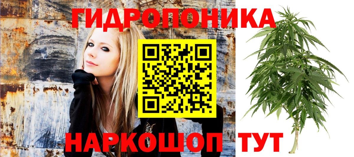 Каннабис индика Нягань